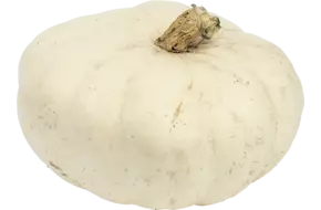 Pompoen winter sweet 1 a 2 kilo
